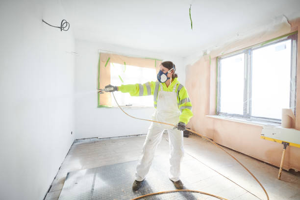 Best Ceiling Drywall Installation  in Clarkton, MO